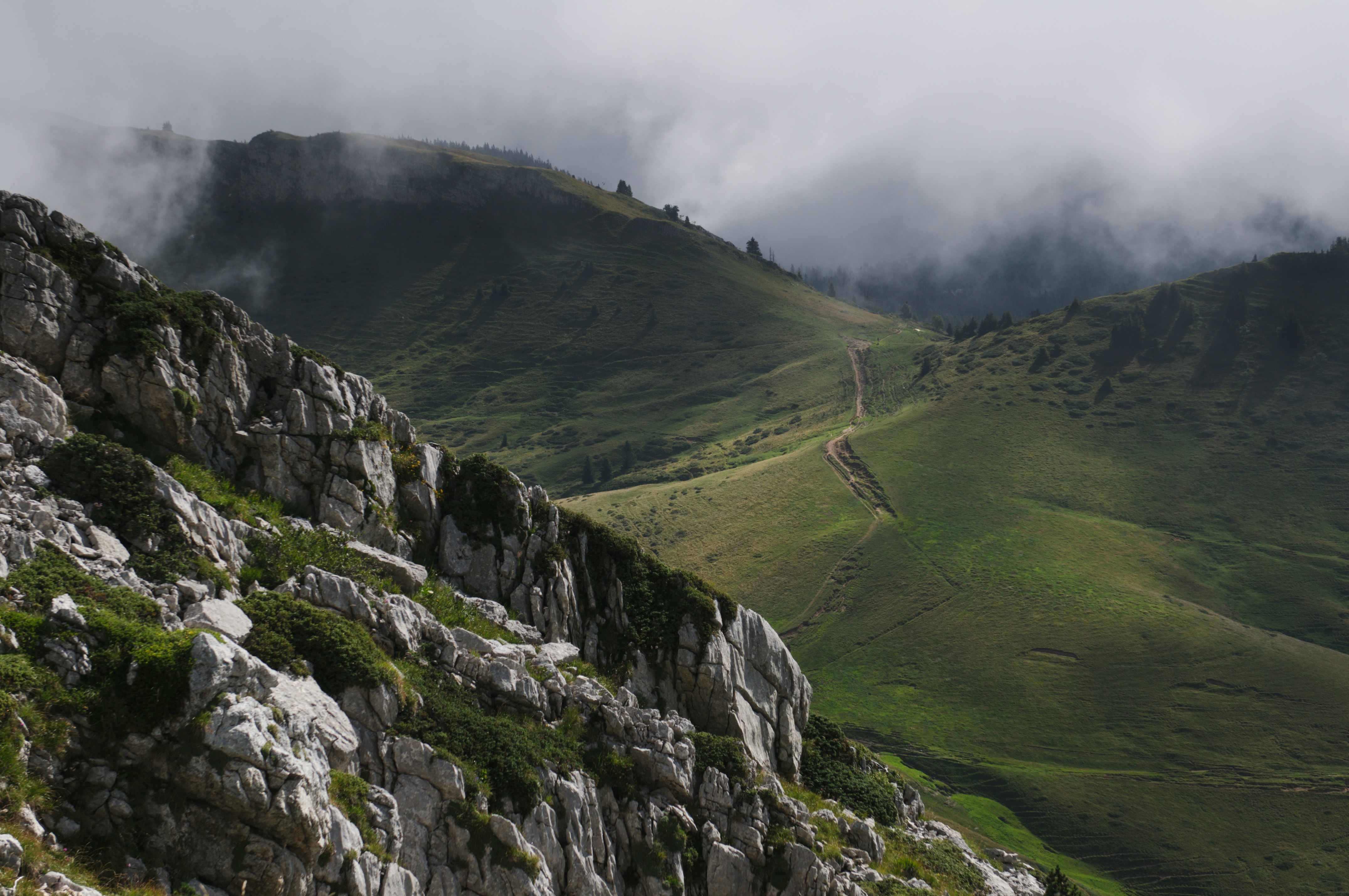 gray mountain alps